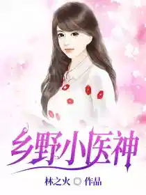 乡野小医神