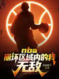 nba:崩坏区域内的我,无敌