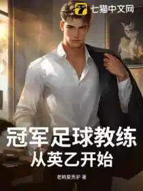 冠军足球教练:从英乙开始